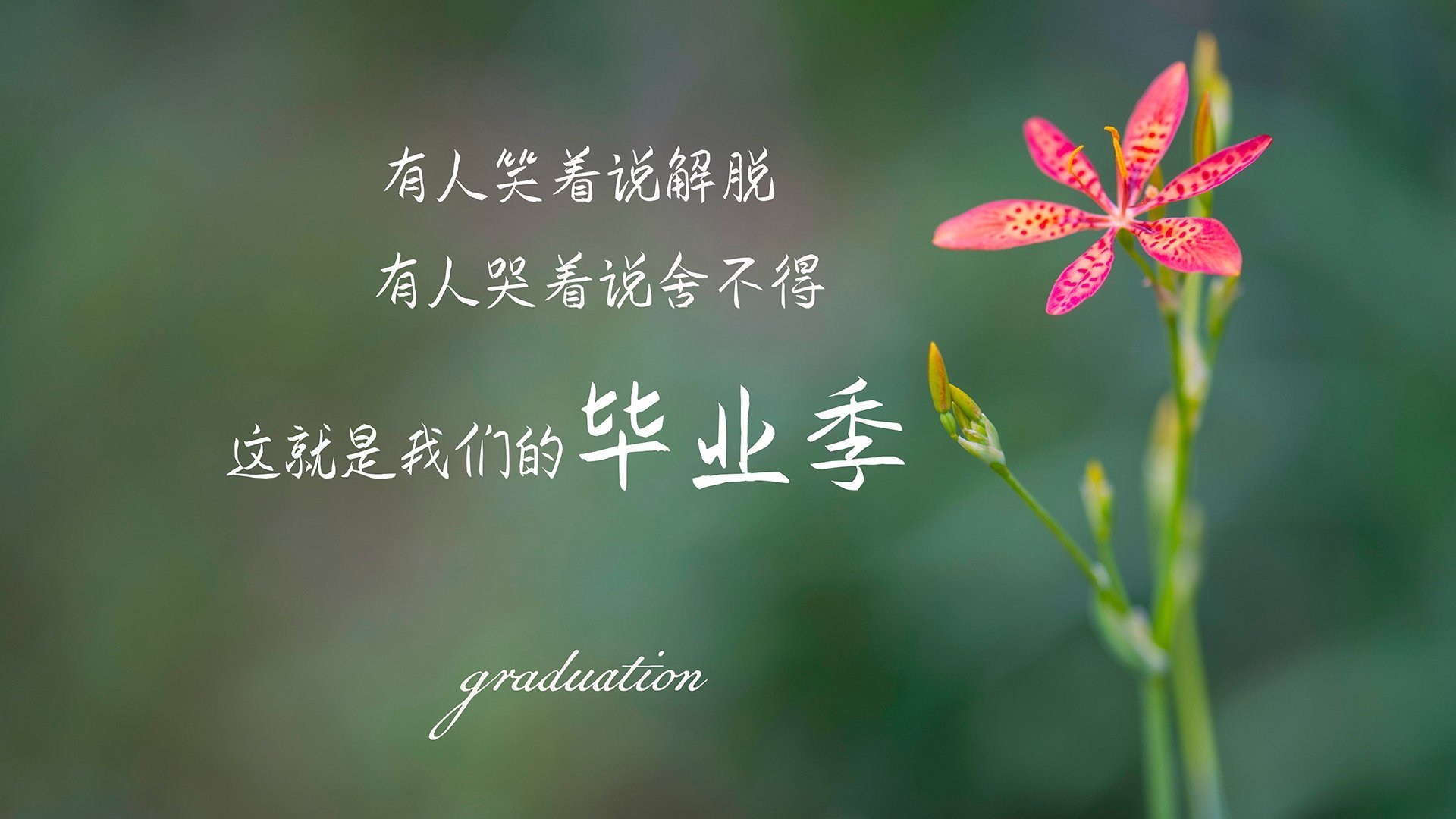潜力新星：未来“超级巨星”们的成长轨迹分析，潜力之星是啥意思