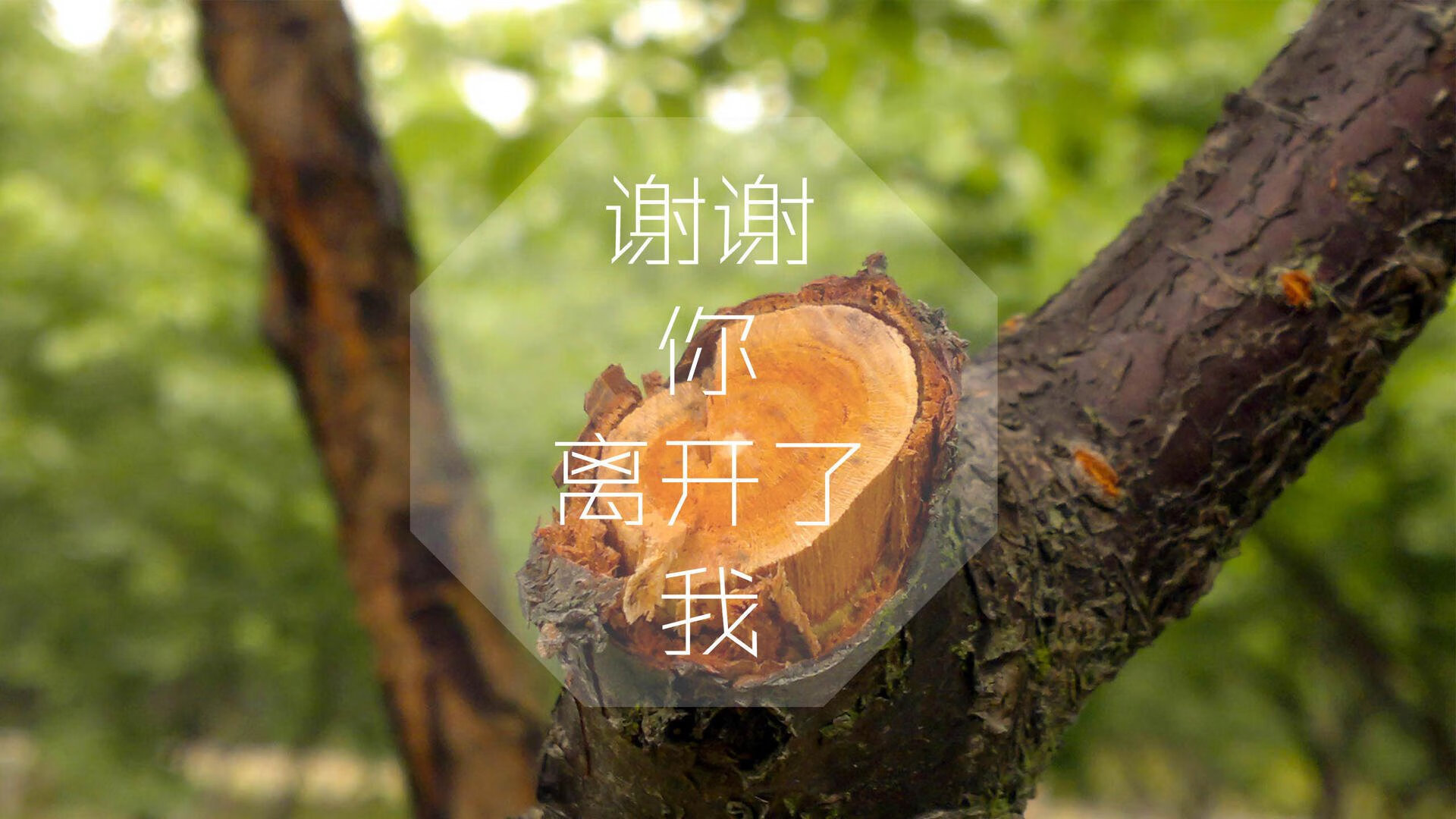 九游娱乐官方网站-切尔西3-0富勒姆，豪取三连胜，英超切尔西富勒姆