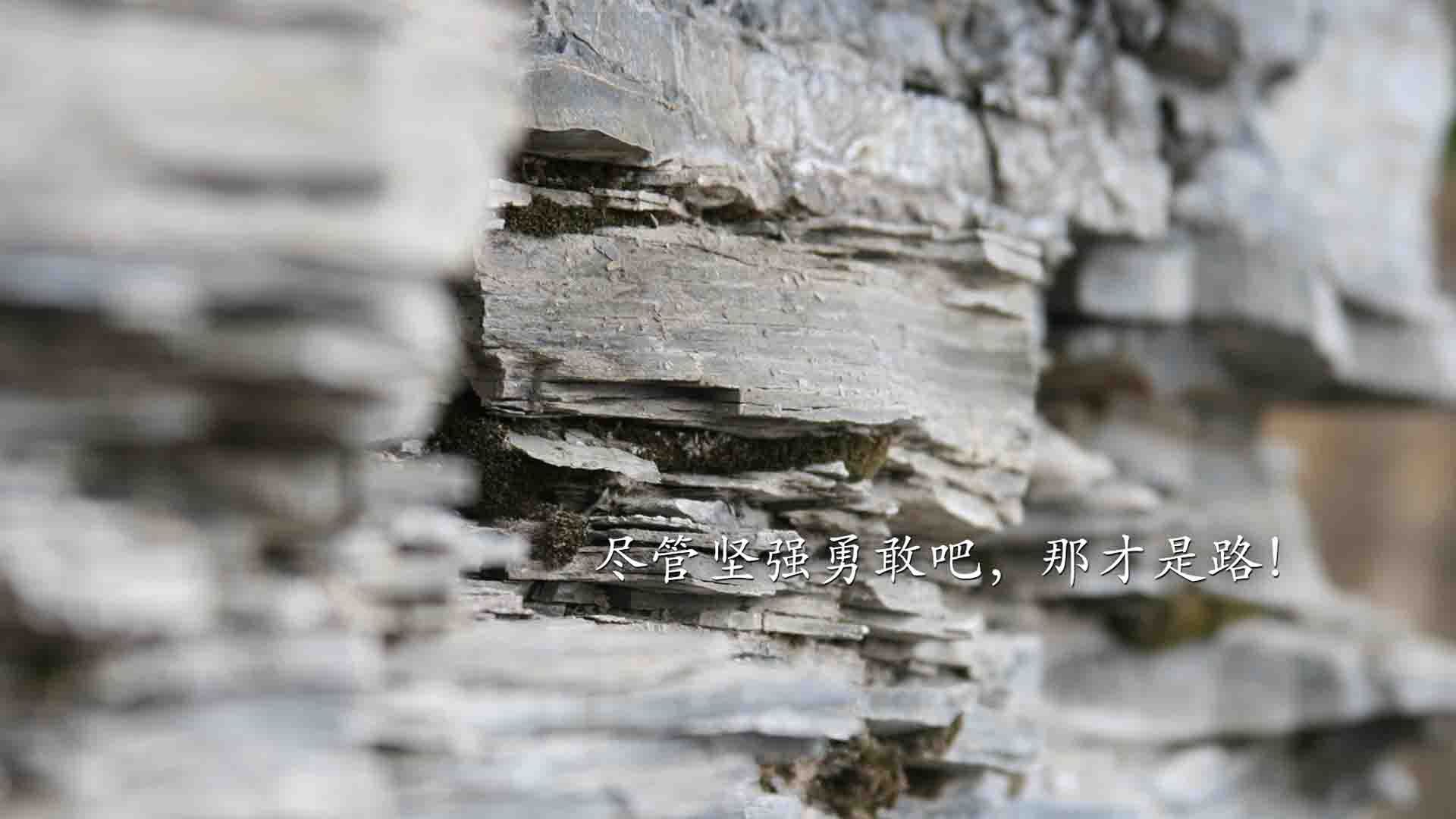 九游赛事-德国杯赛：拜仁提前锁定晋级名额，德国杯拜仁夺冠