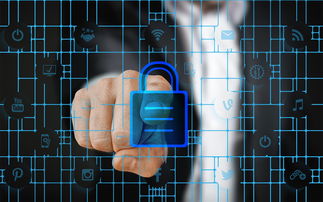 九游娱乐-校园体育安全管理策略研究，校园体育安全管理策略研究报告