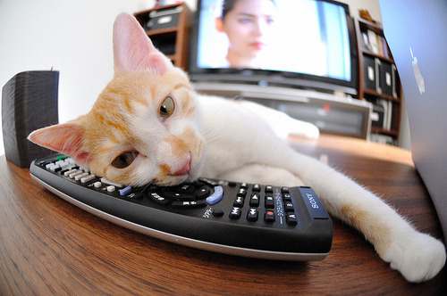 校园体育安全管理策略研究,校园体育安全管理策略研究报告