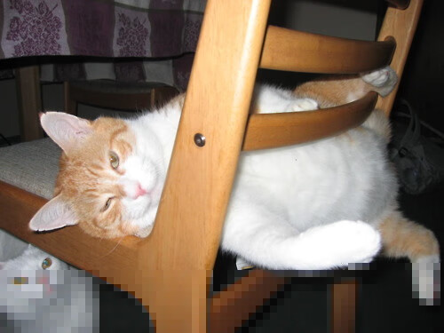 深度报道：世俱杯背后隐藏的商业秘密，世俱杯介绍