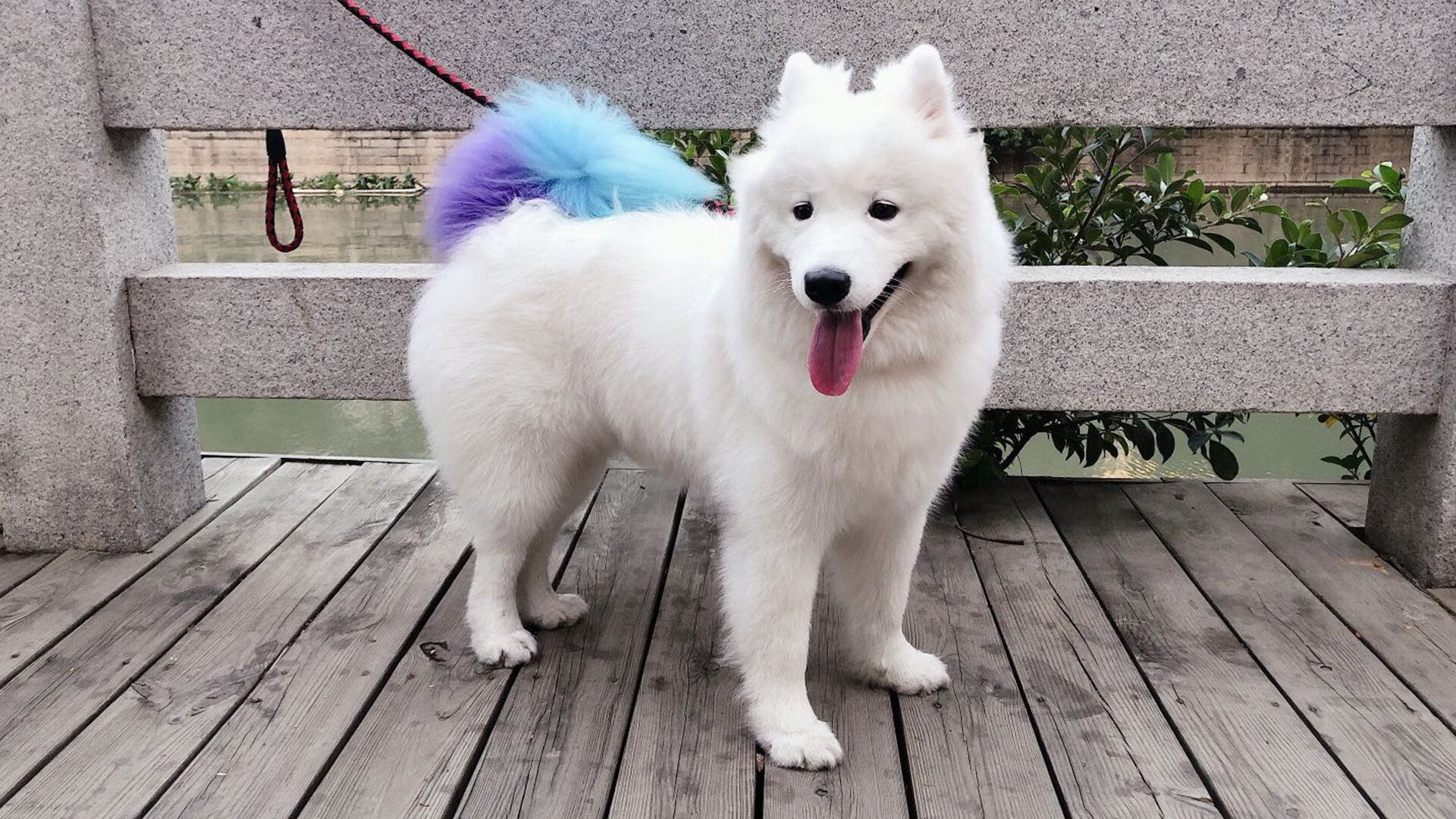 五大联赛是否鼓励中场球员提前站位覆盖断球线路，五大联赛中锋