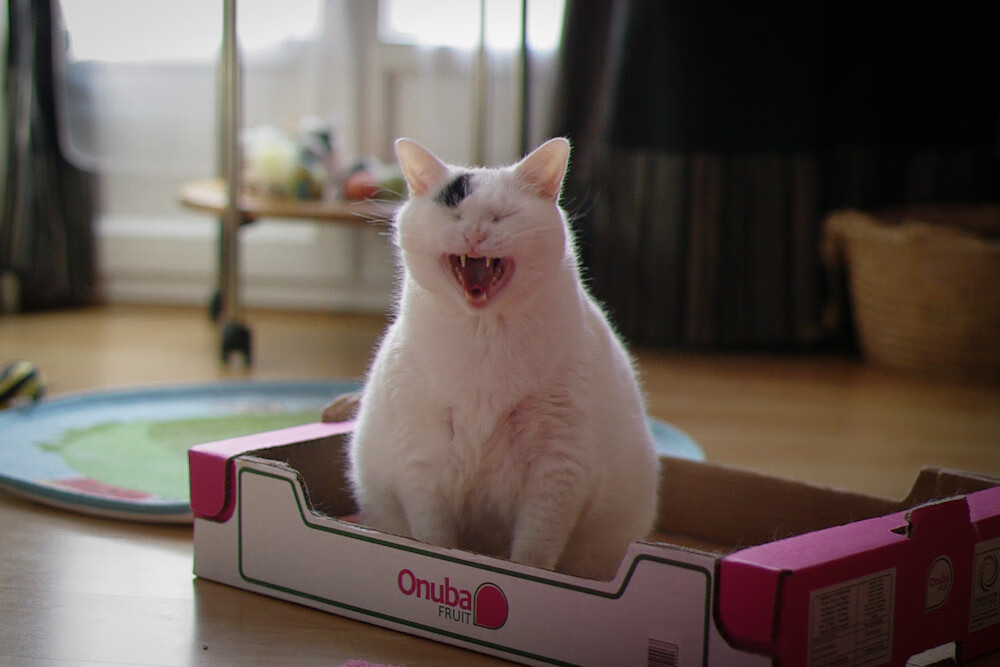 五大联赛是否更多使用反向站位吸引对手压迫